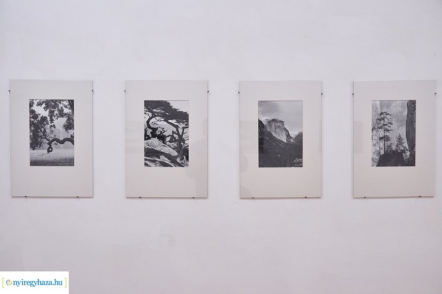 Horváth Kinga grafikusművész kiállítása