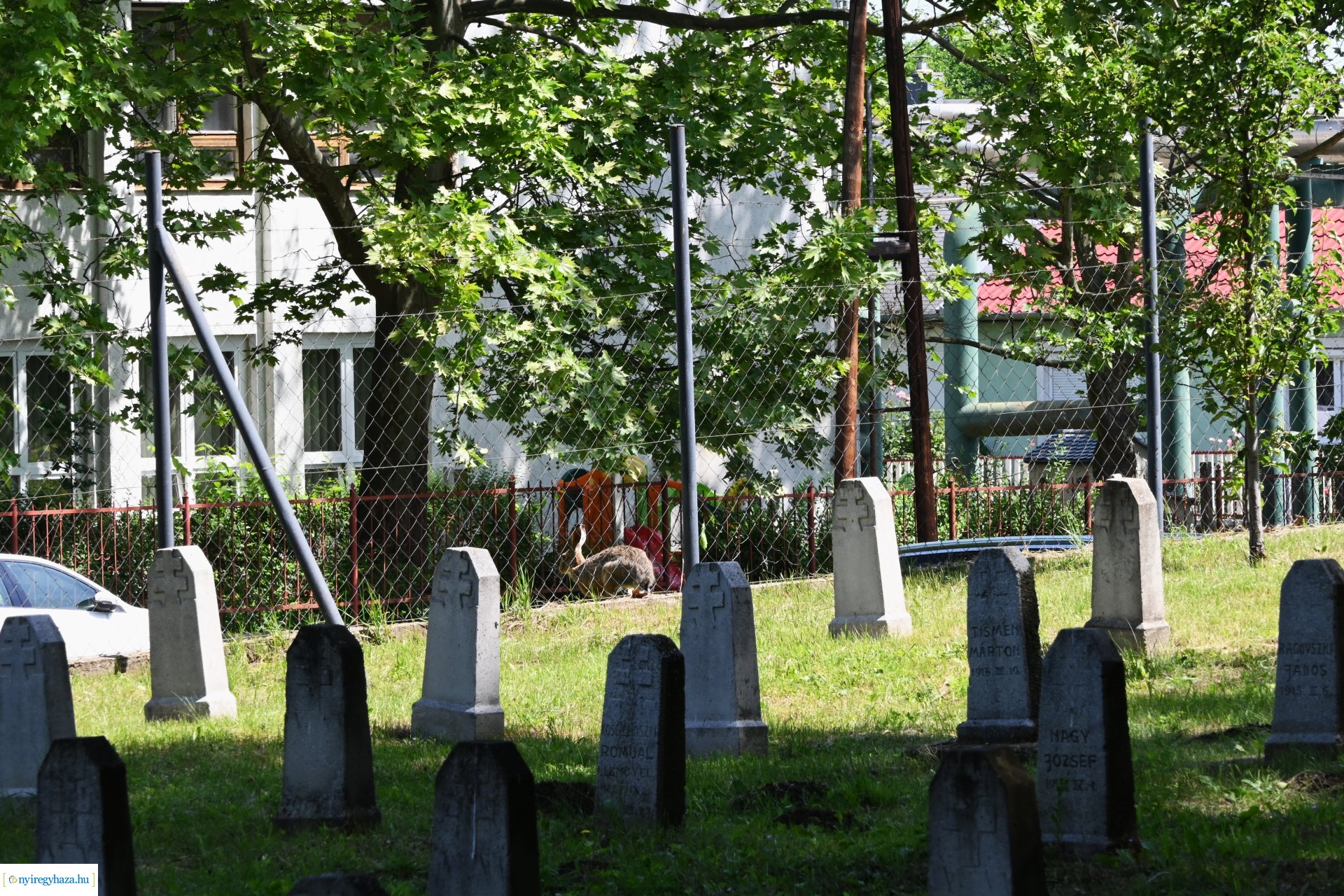 Hősök napja 2024 - koszorúzás a Hősök temetőjében