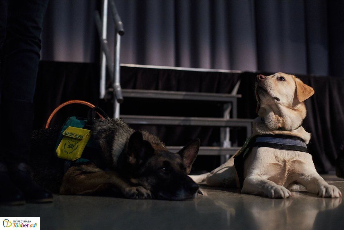 Hospice Világnap 2019