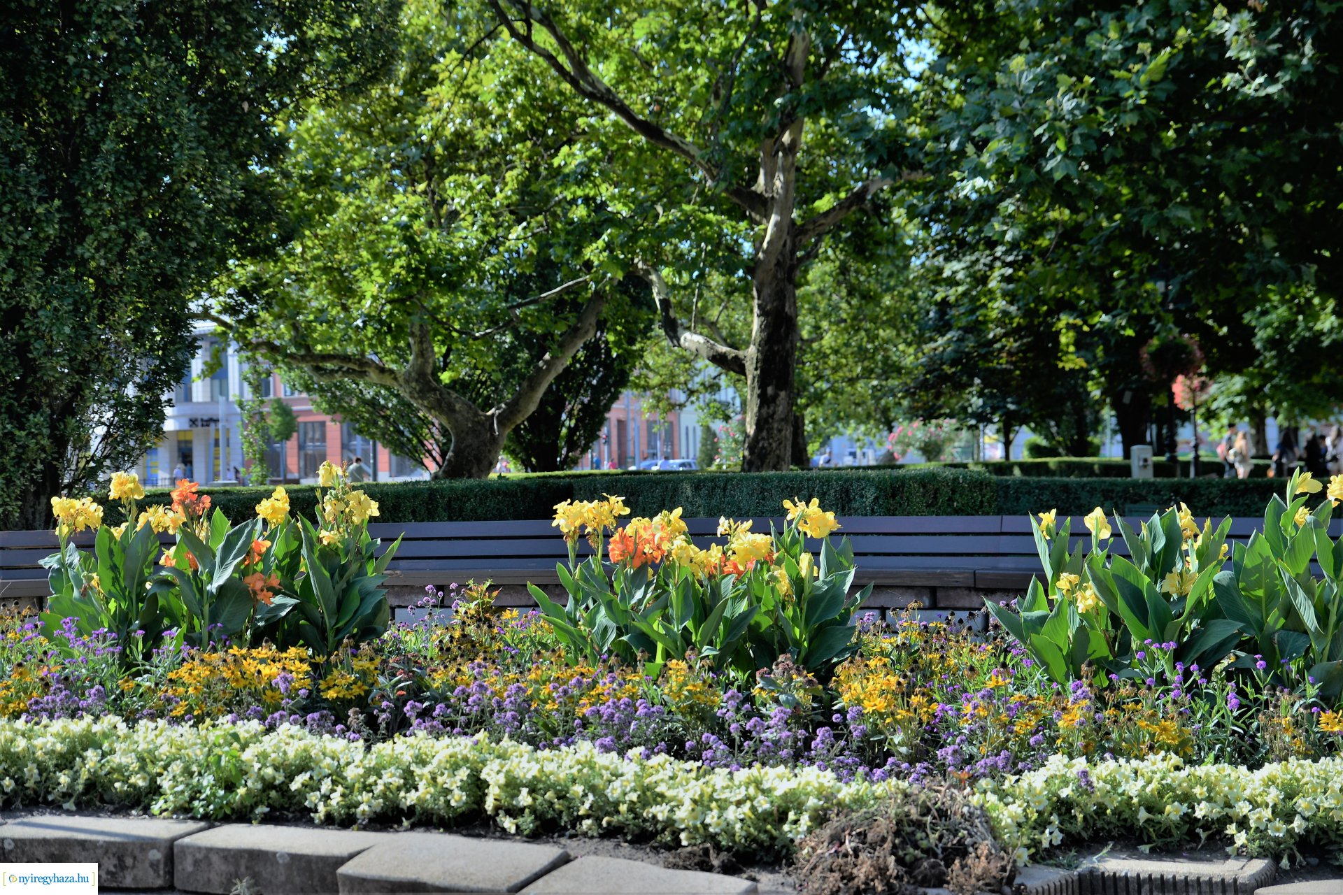 Hulladékgyűjtési akció Nyíregyháza belvárosában