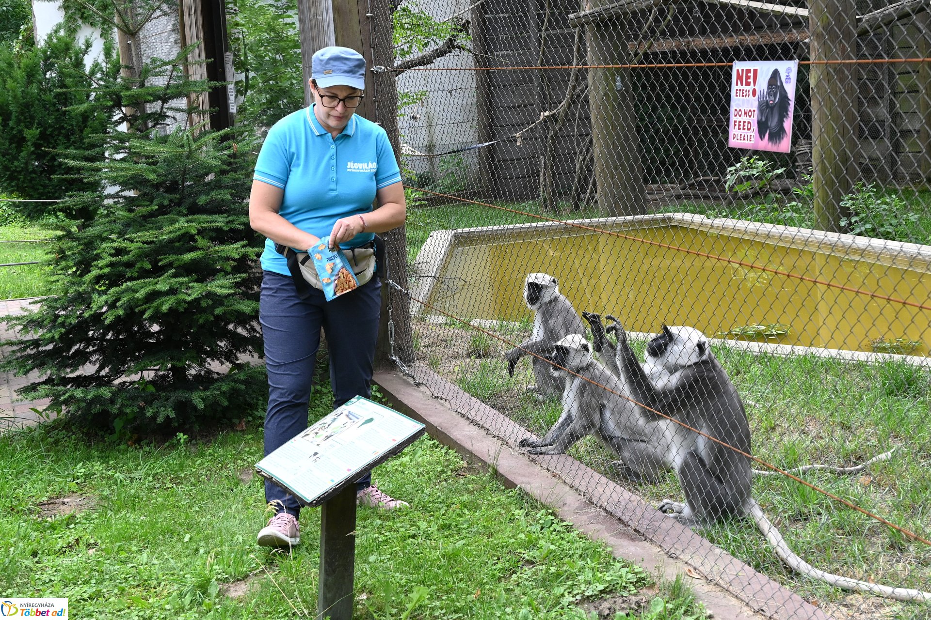 Hulmán hím érkezett a Nyíregyházi Állatparkba