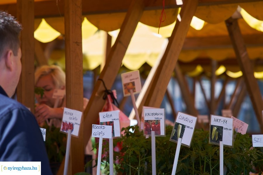 Húsvét előtt a Búza téri piacon 2022