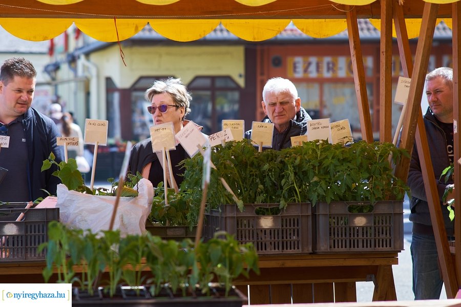 Húsvét előtt a Búza téri piacon 2022