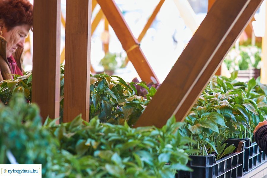 Húsvét előtt a Búza téri piacon 2022