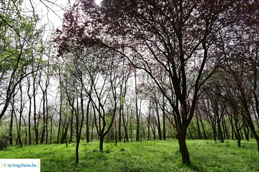 Húsvéthétfő a múzeumfaluban 2024