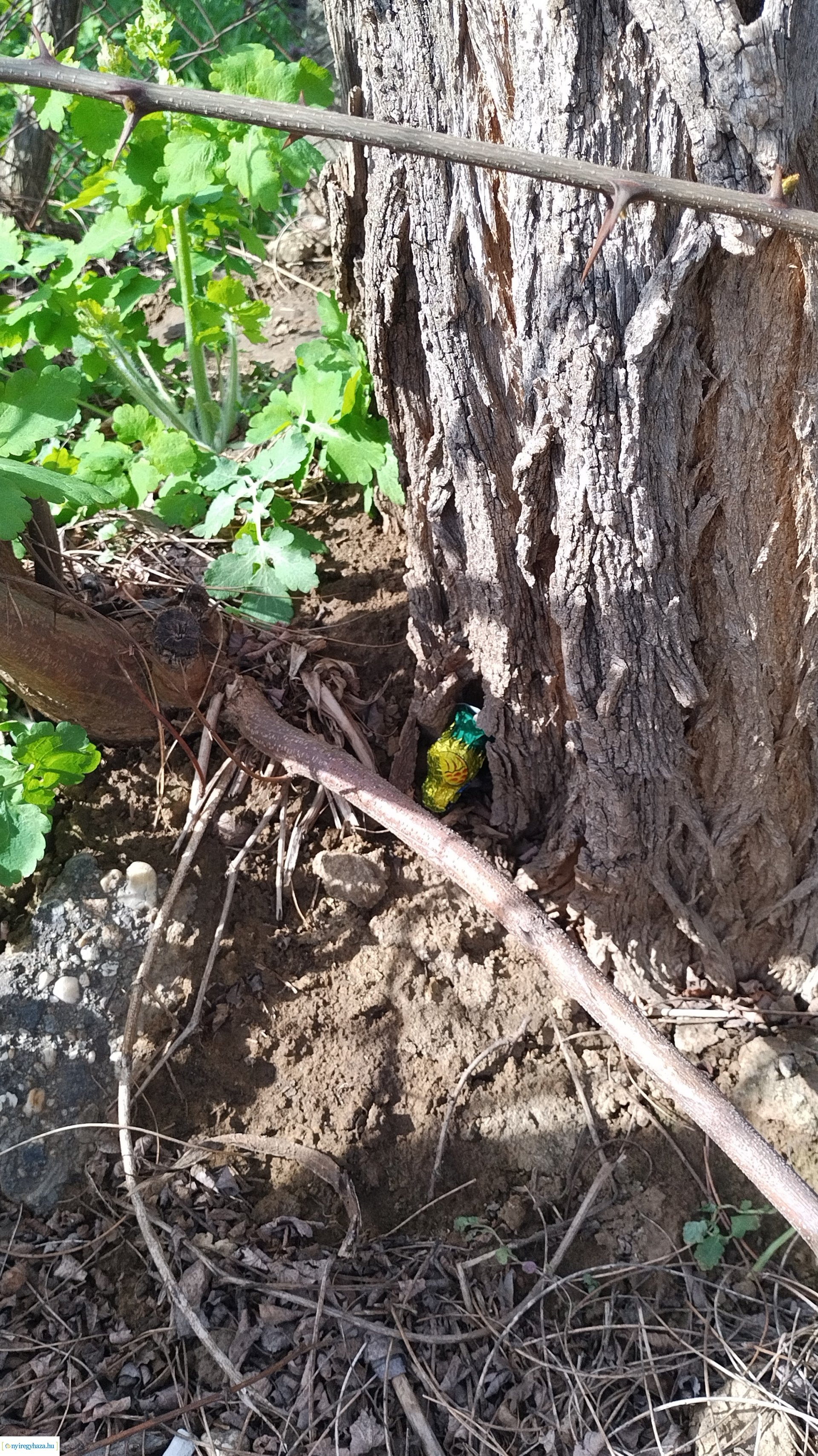 Húsvéti hangolódás az Orosért Közéleti Egyesületnél