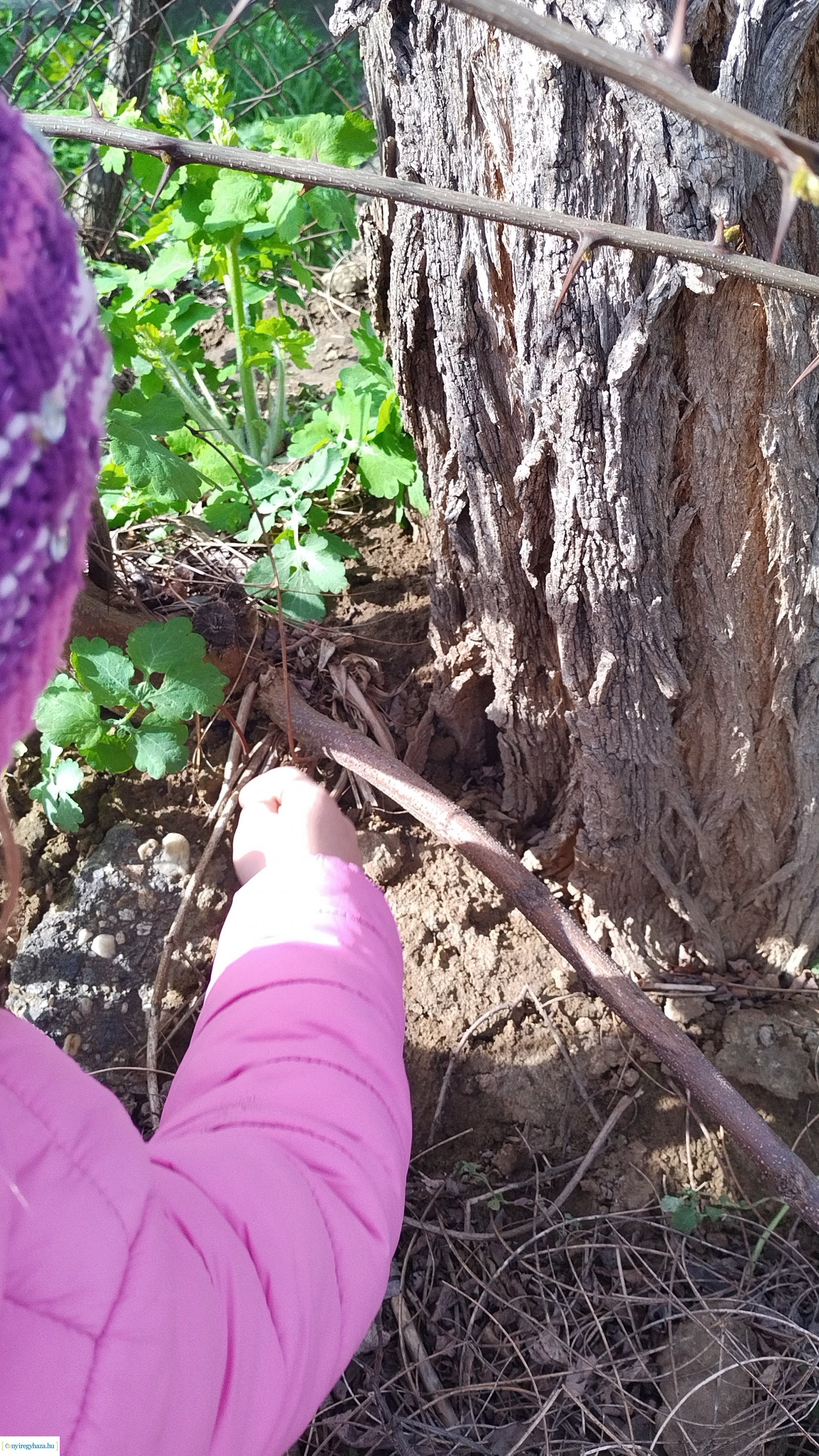 Húsvéti hangolódás az Orosért Közéleti Egyesületnél