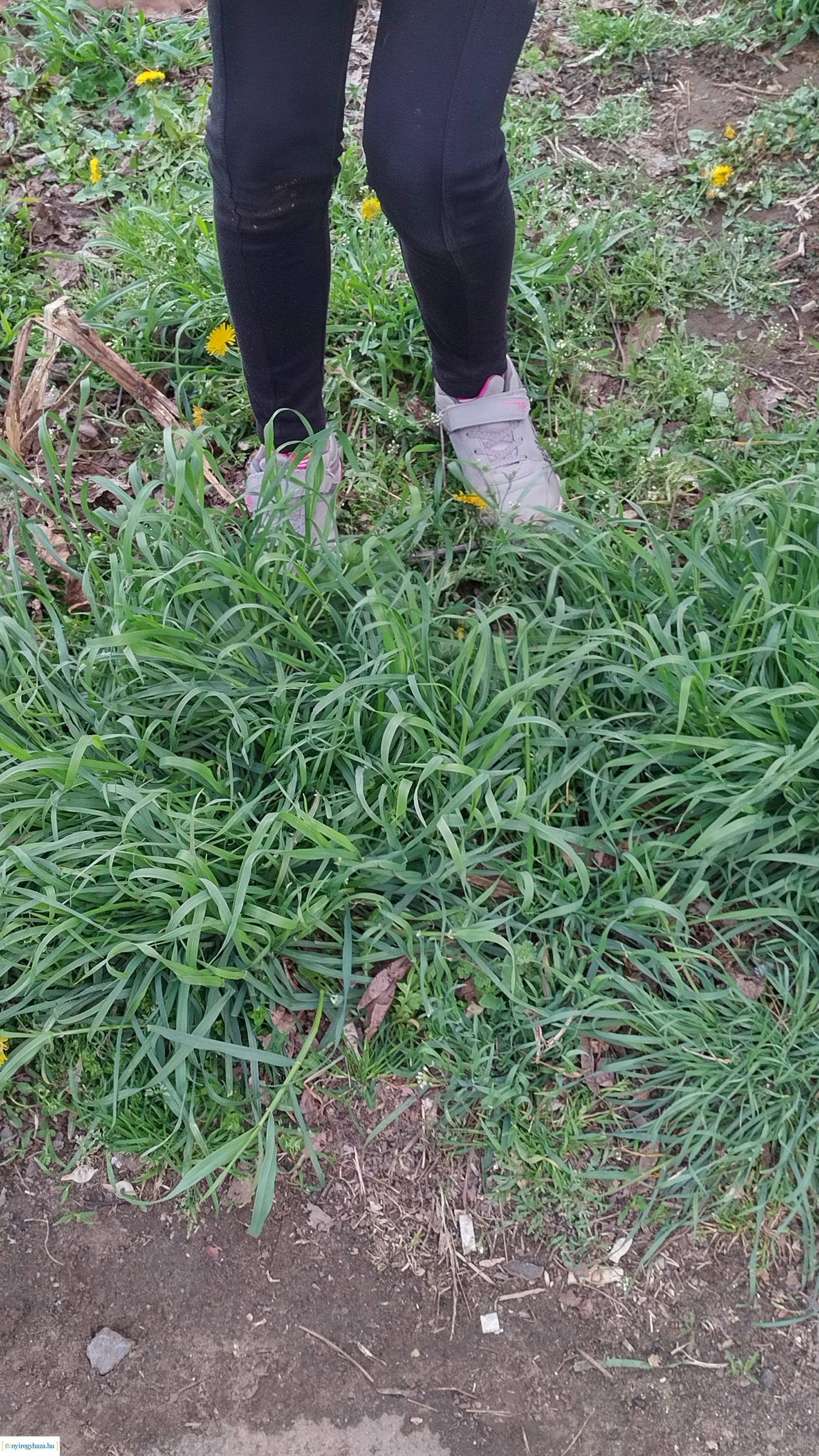 Húsvéti hangolódás az Orosért Közéleti Egyesületnél