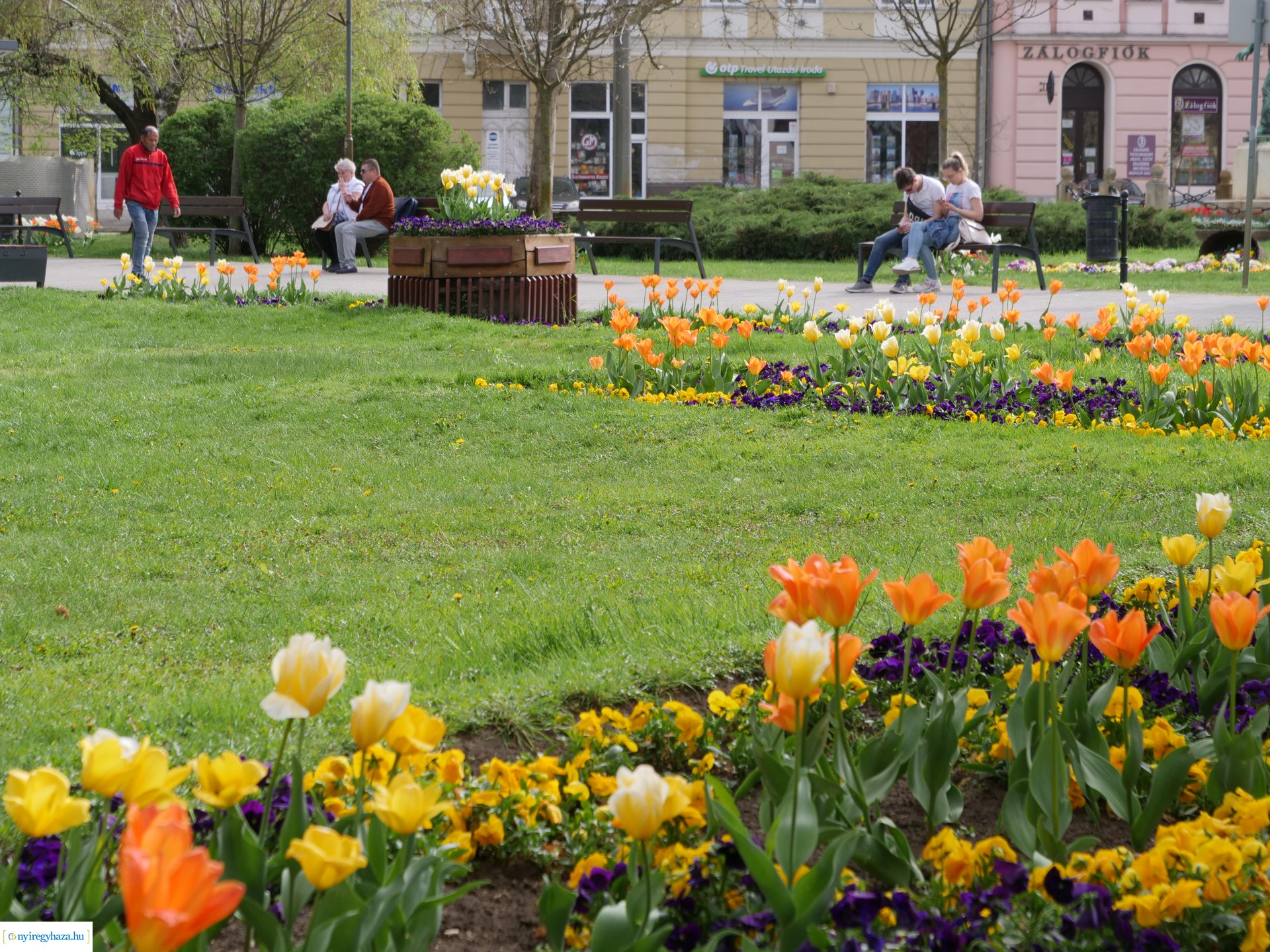 Húsvéti virágos Nyíregyháza