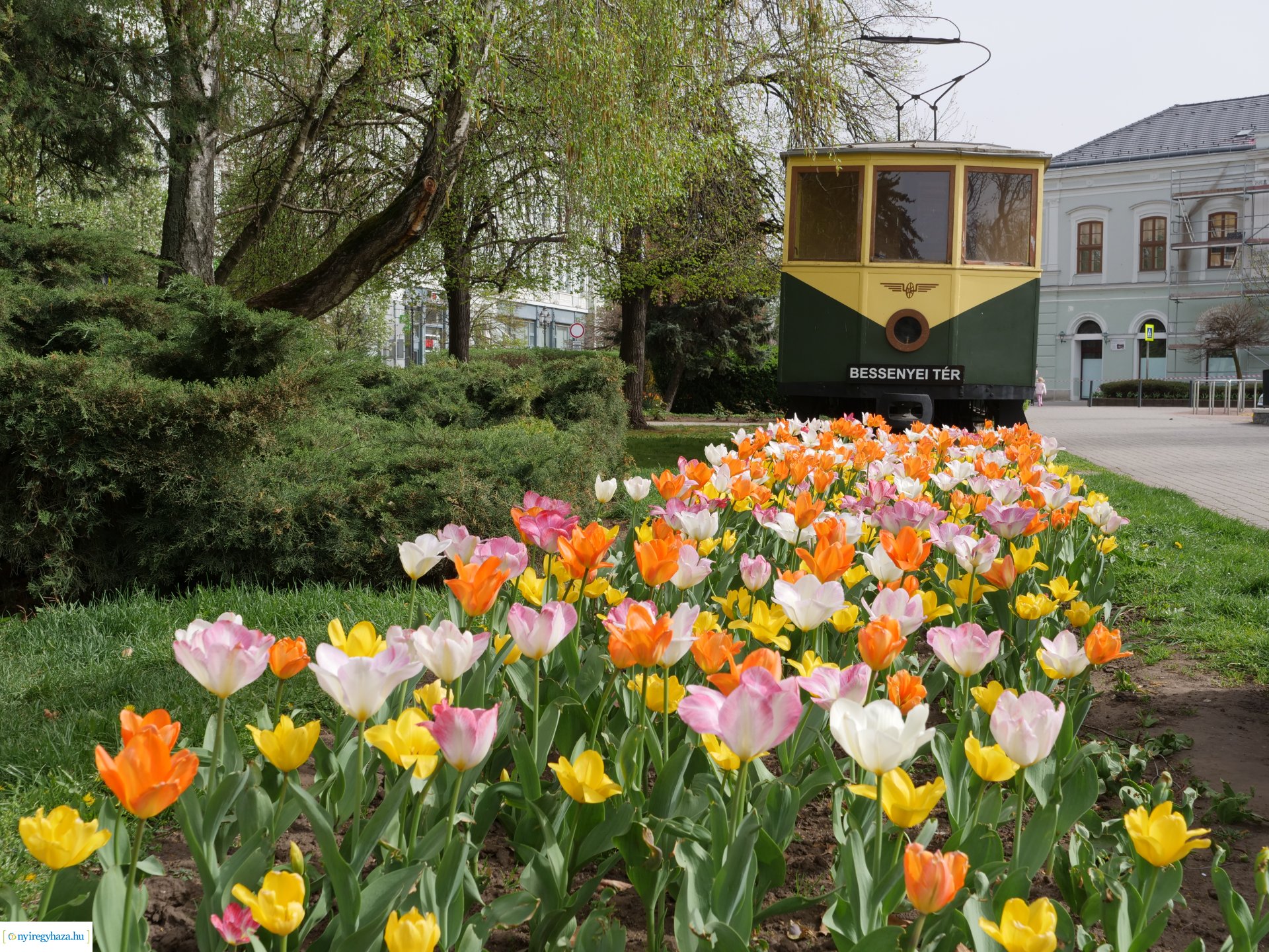 Húsvéti virágos Nyíregyháza