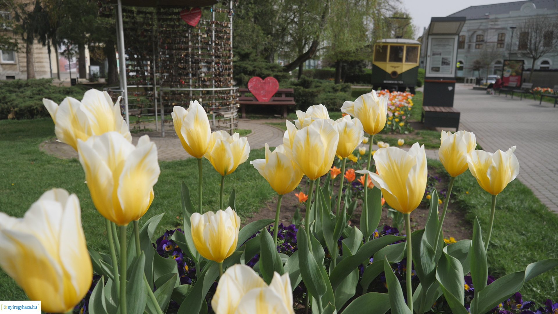 Húsvéti virágos Nyíregyháza