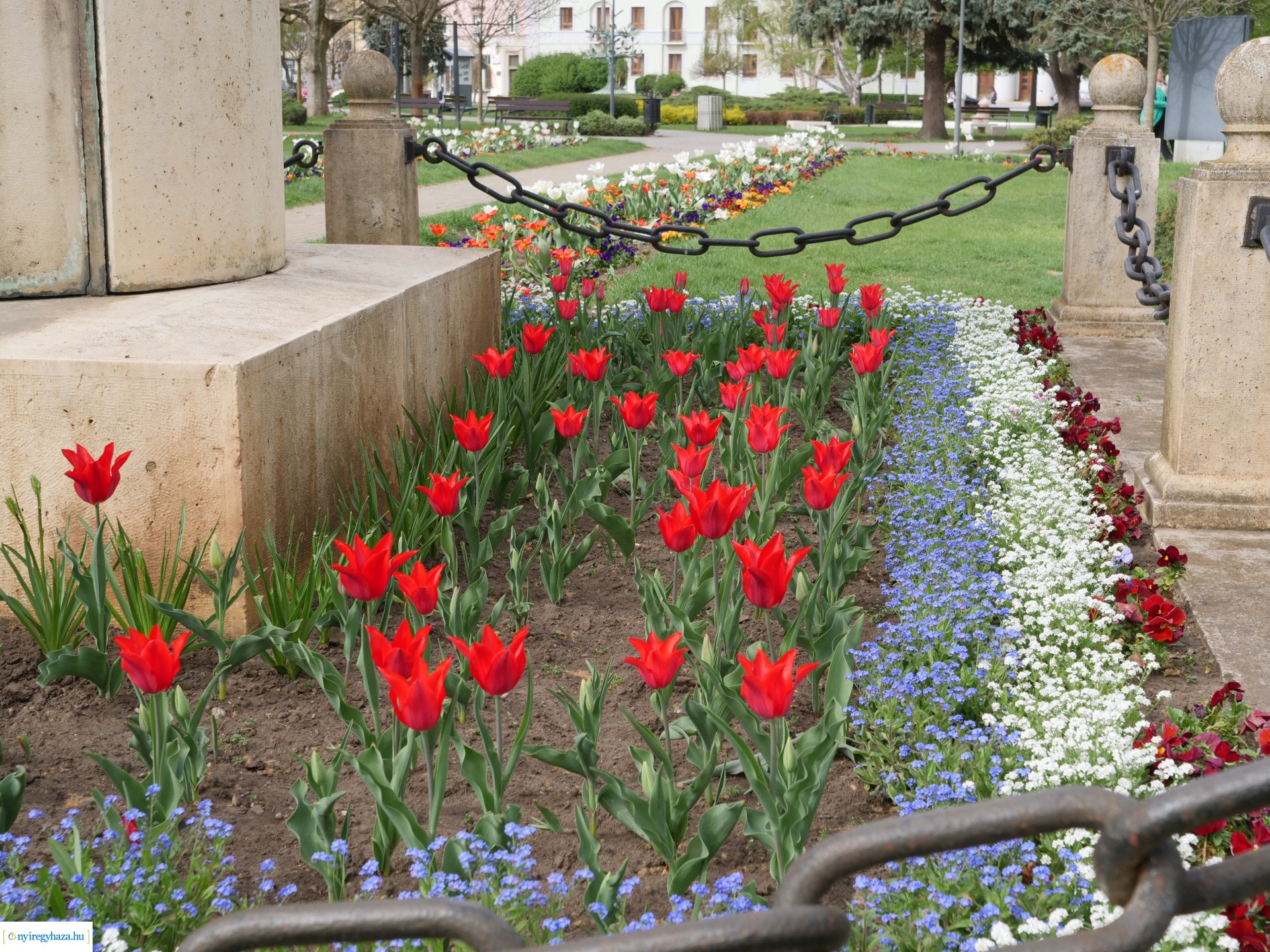 Húsvéti virágos Nyíregyháza