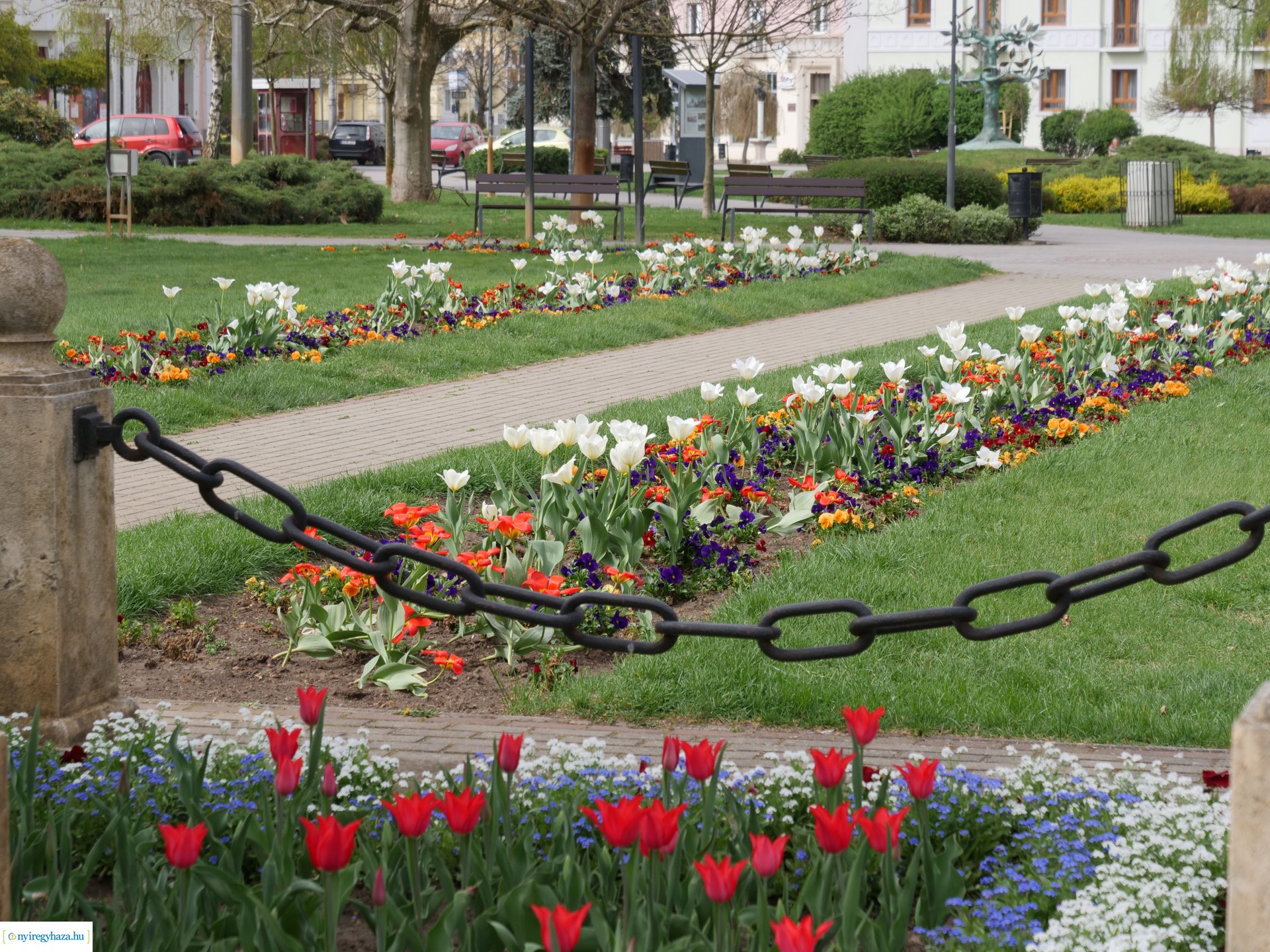 Húsvéti virágos Nyíregyháza
