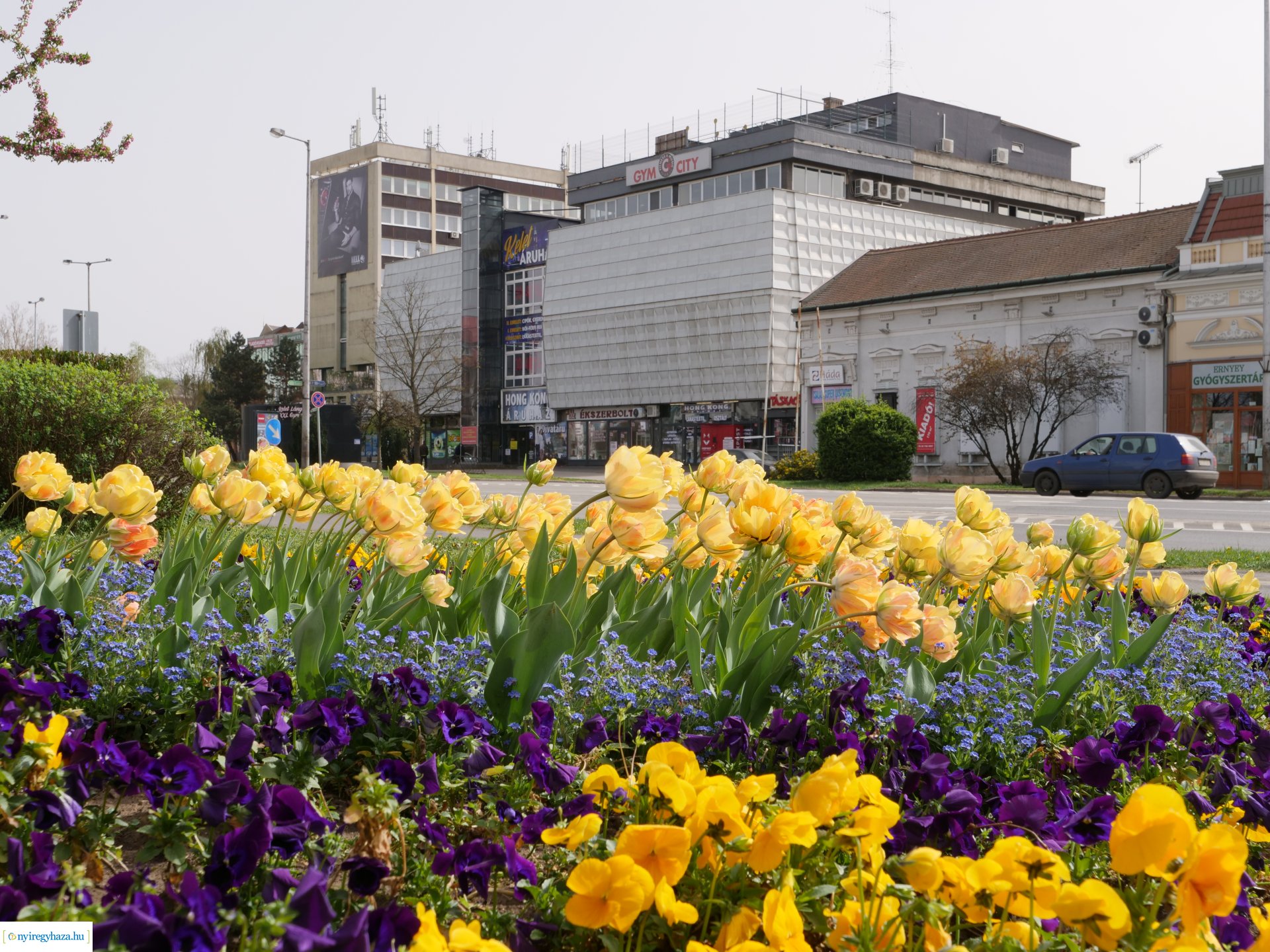 Húsvéti virágos Nyíregyháza
