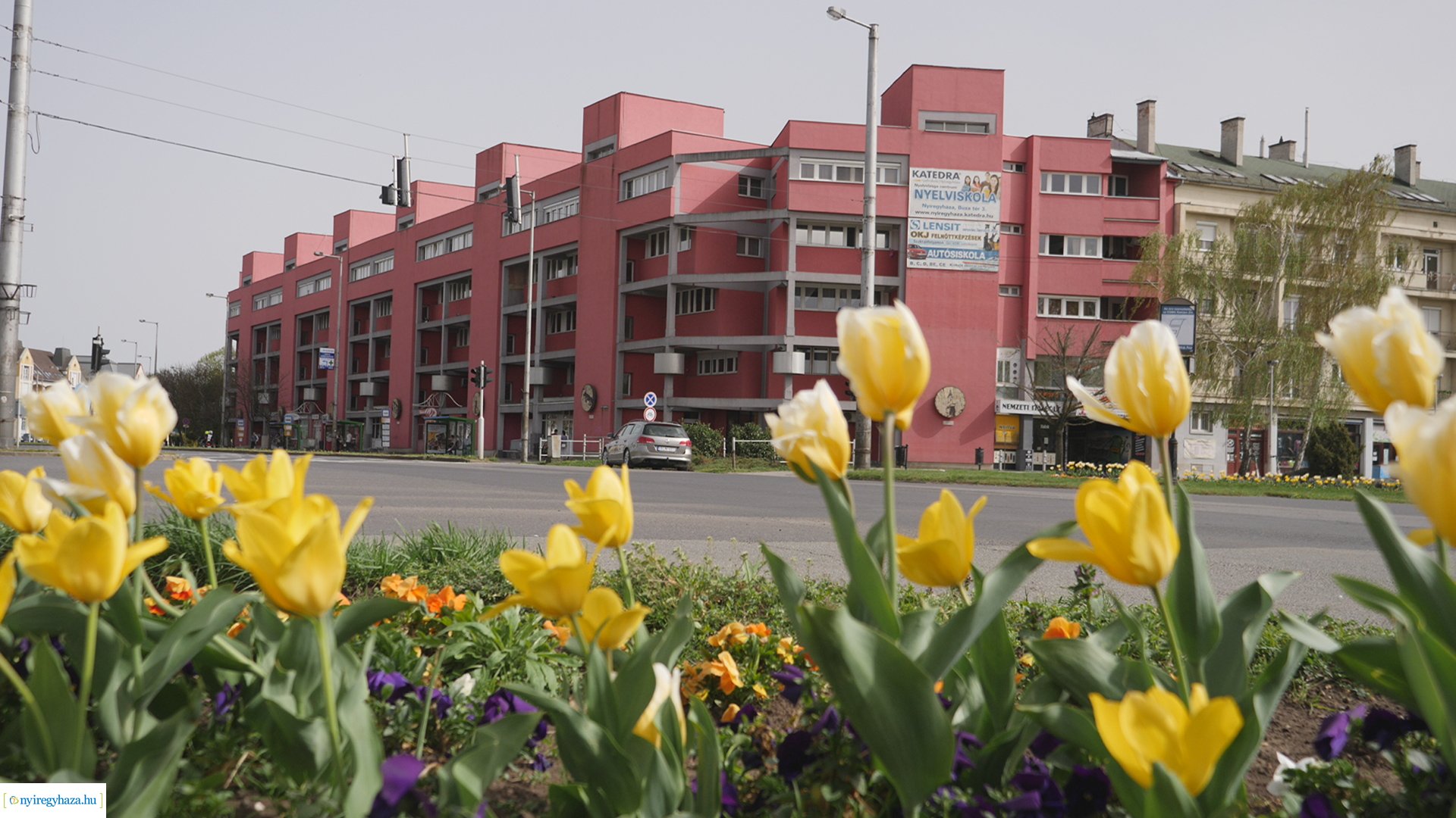 Húsvéti virágos Nyíregyháza