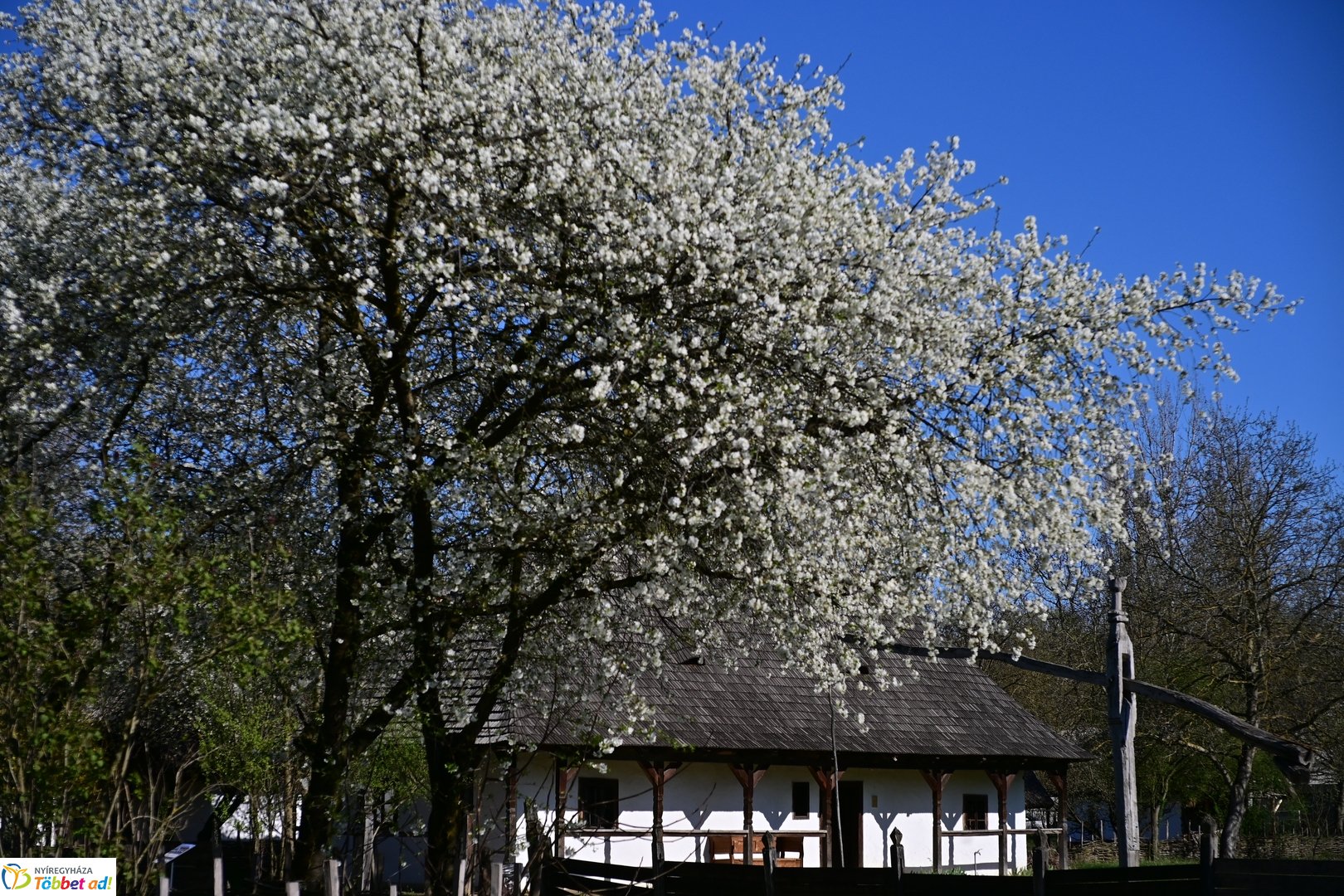 Húsvétkor a Sóstói Múzeumfaluban - 2026