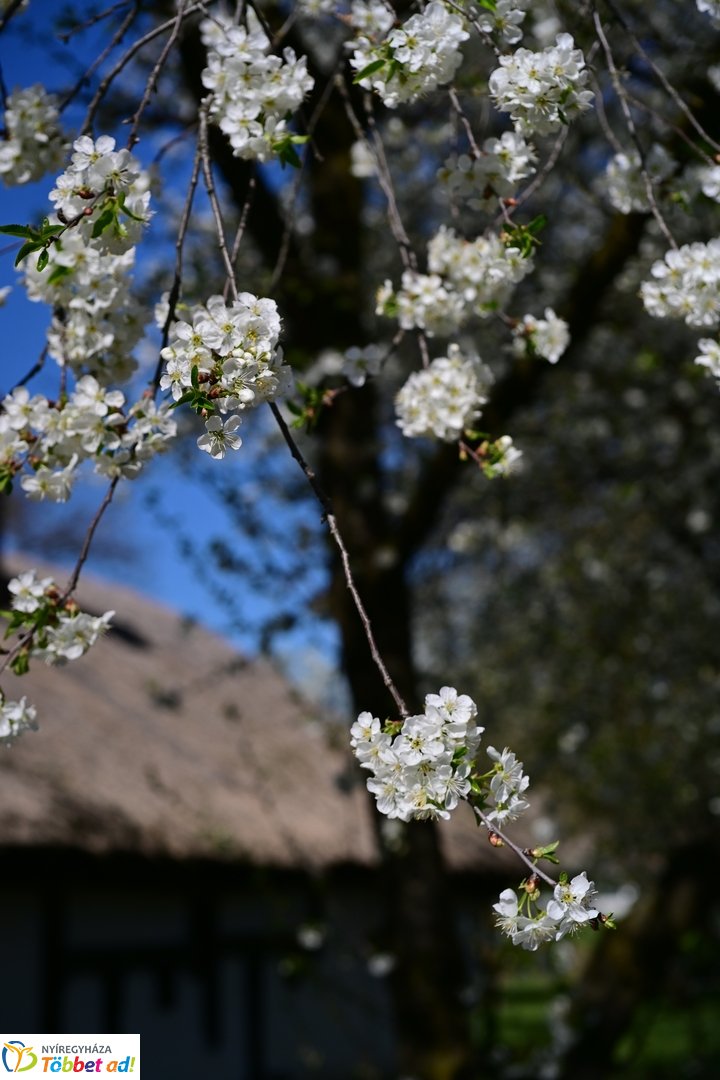 Húsvétkor a Sóstói Múzeumfaluban - 2026