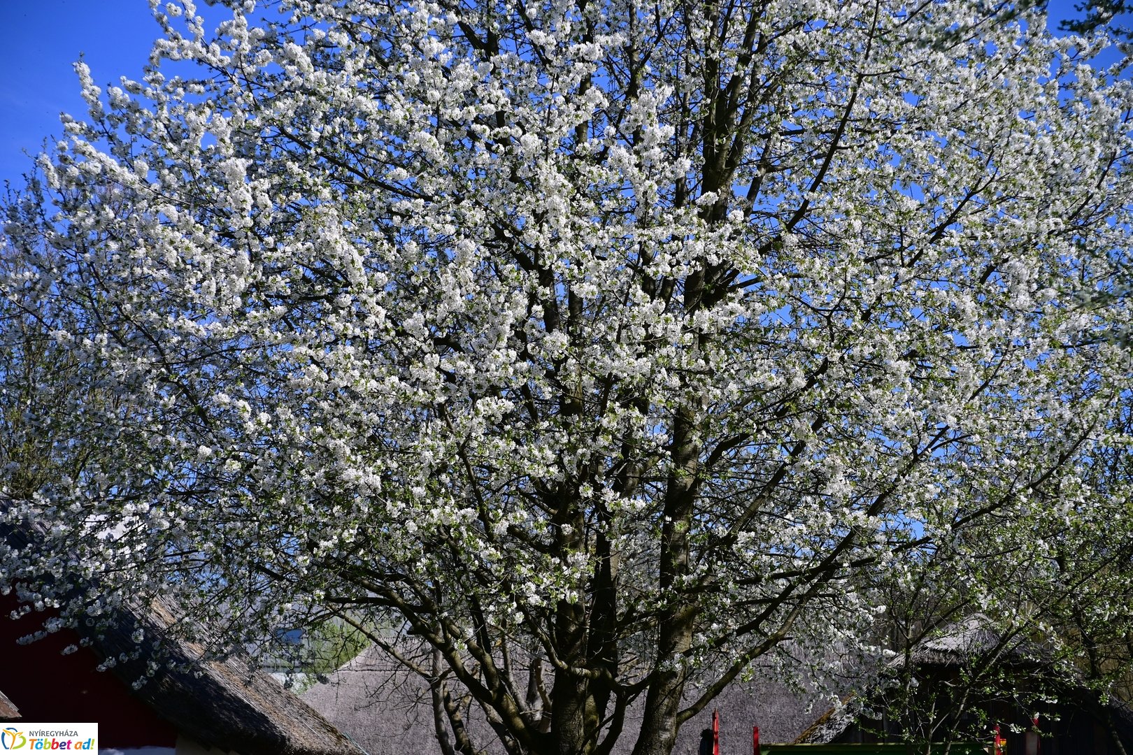 Húsvétkor a Sóstói Múzeumfaluban - 2026