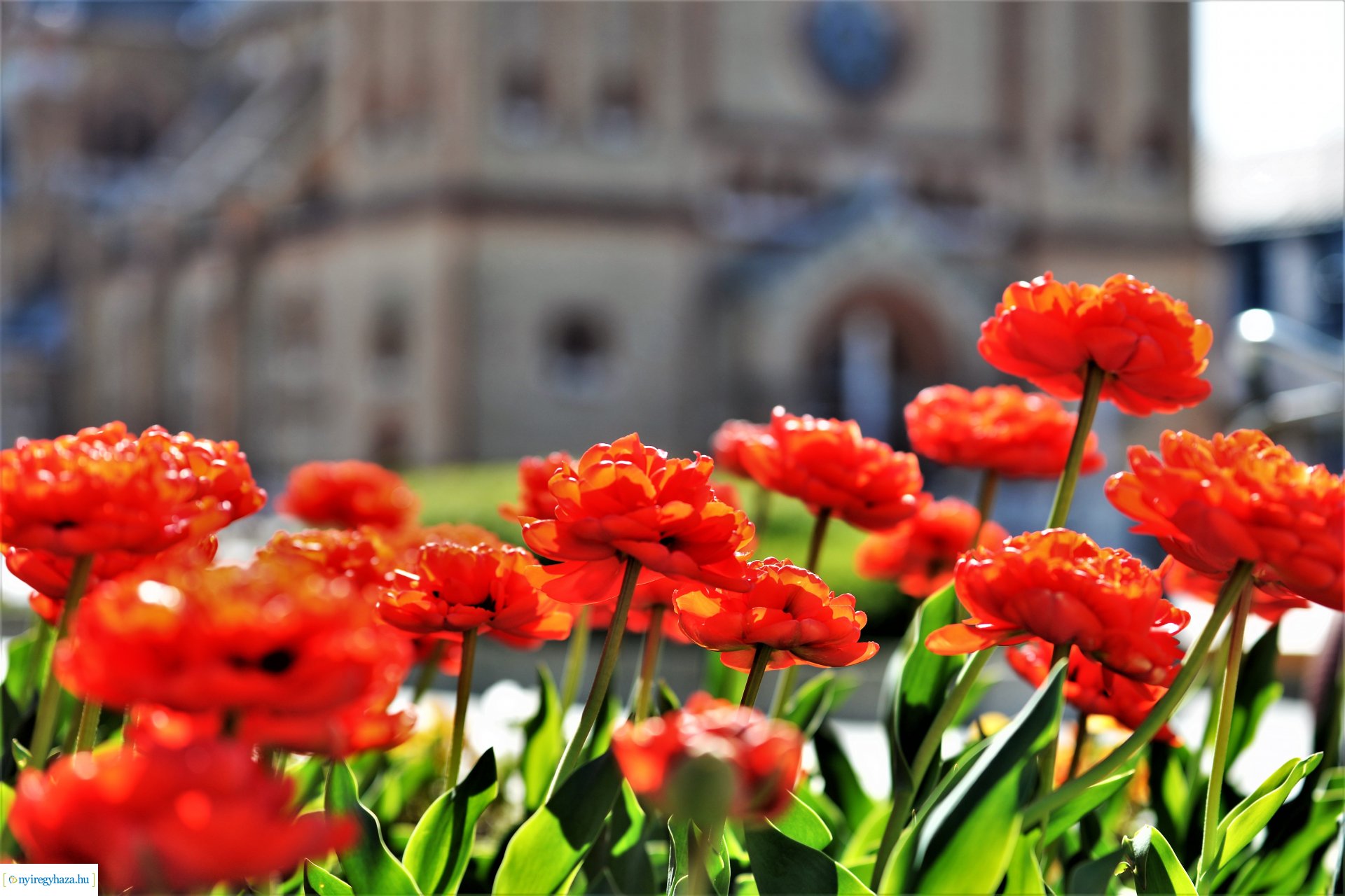 Húsvétvasárnap a Magyarok Nagyasszonya társészeksegyház templomában