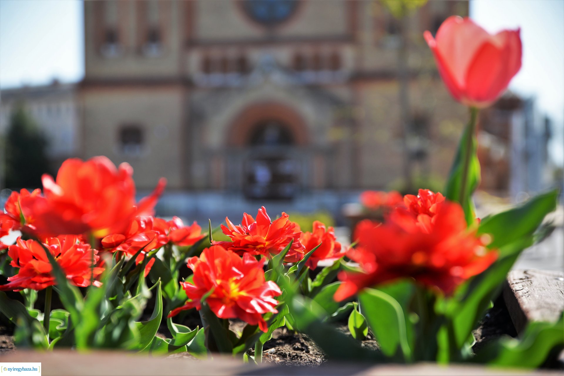 Húsvétvasárnap a Magyarok Nagyasszonya társészeksegyház templomában