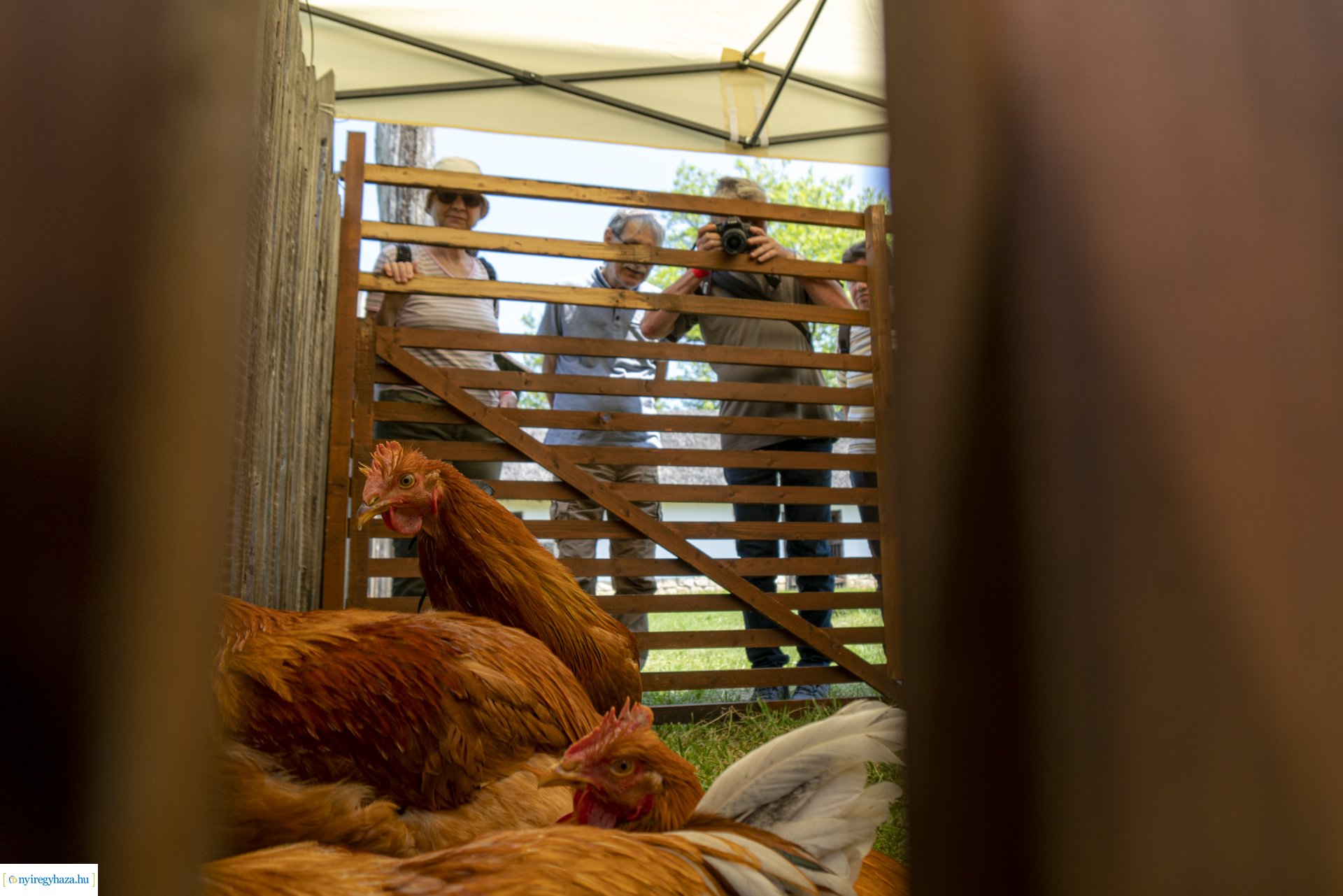 I. Kappan- és lakodalmas fesztivál a Sóstói Múzeumfaluban