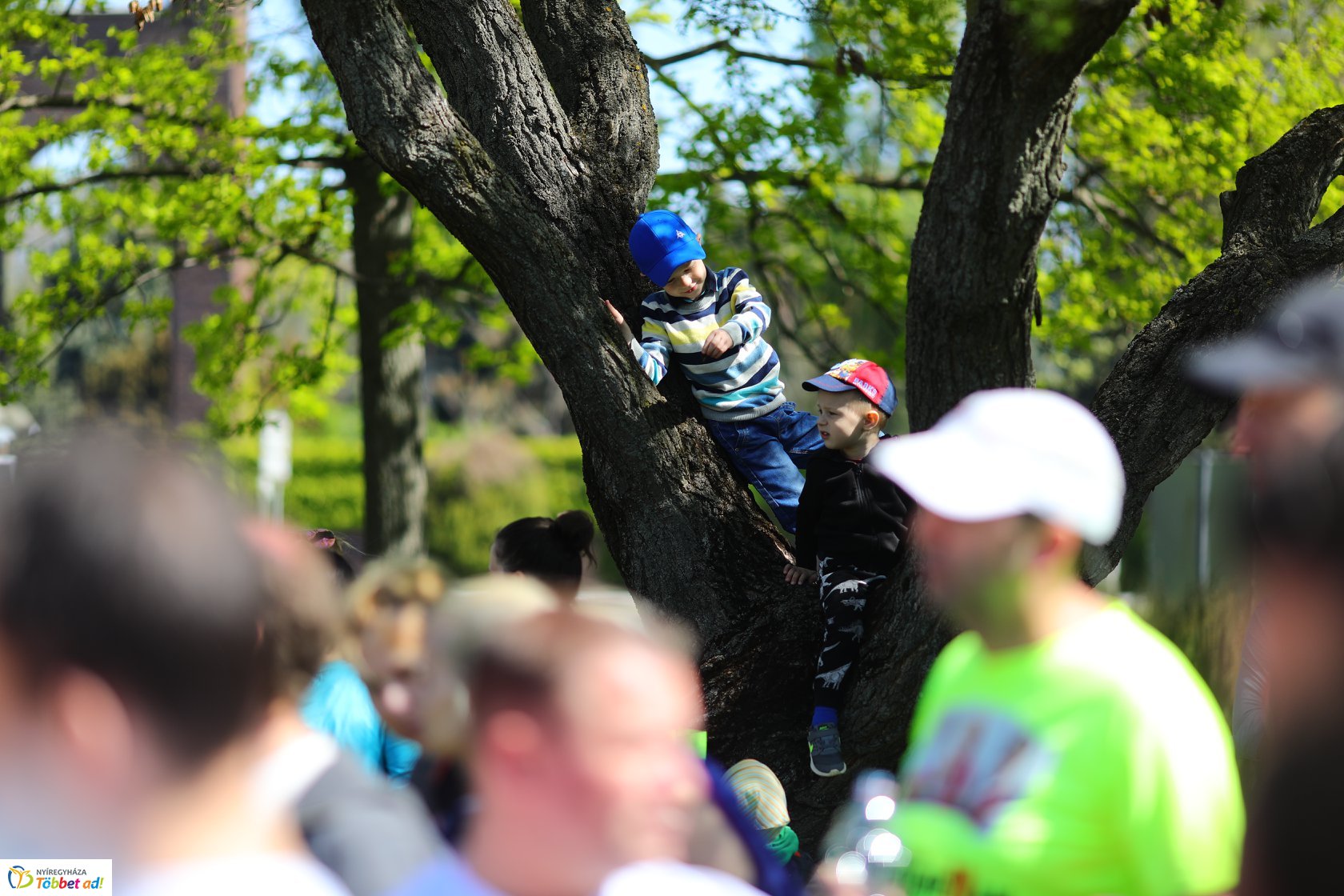 I. Nyíregyházi Húsvéti Nyúlfutás - Fotók: Divusdent