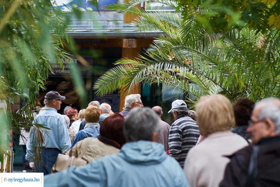 Idősek Napja az Állatparkban 2021