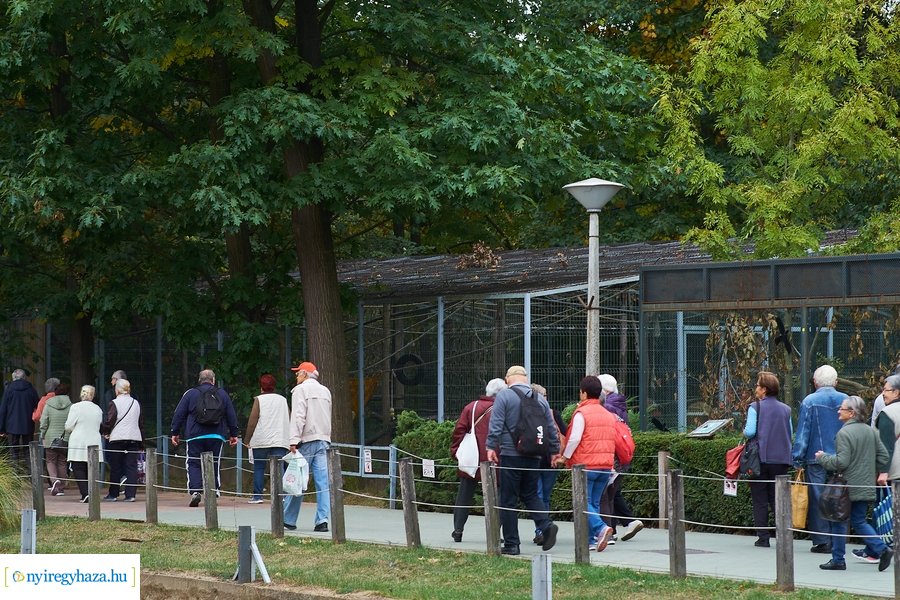 Idősek Napja az Állatparkban 2021