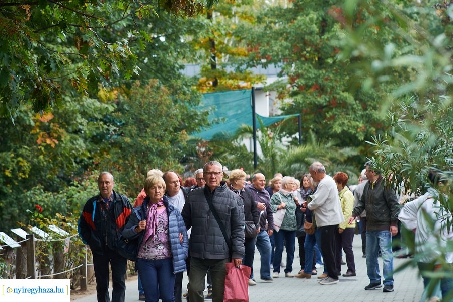 Idősek Napja az Állatparkban 2021