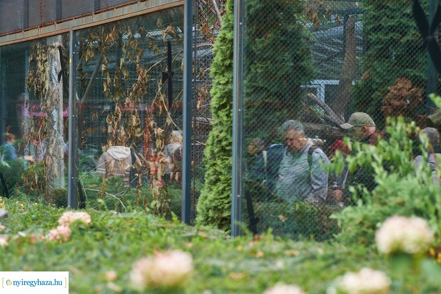 Idősek Napja az Állatparkban 2021