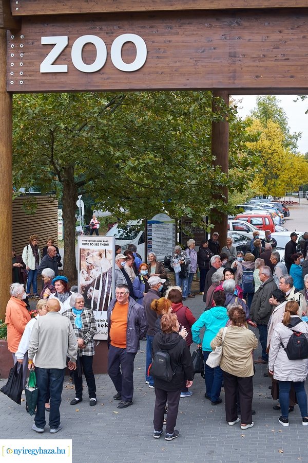 Idősek Napja az Állatparkban 2021
