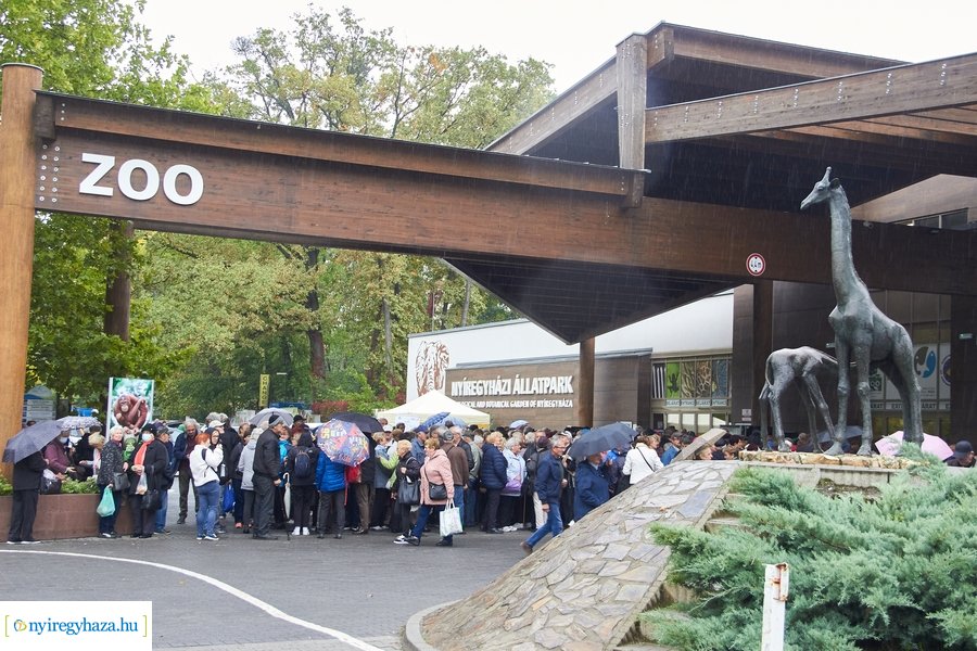 Idősek Napja az Állatparkban 2022