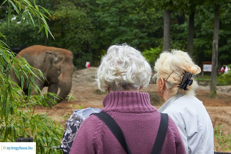 Idősek Napja az Állatparkban 2022