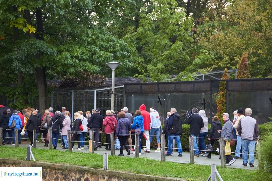 Idősek Napja az Állatparkban 2022