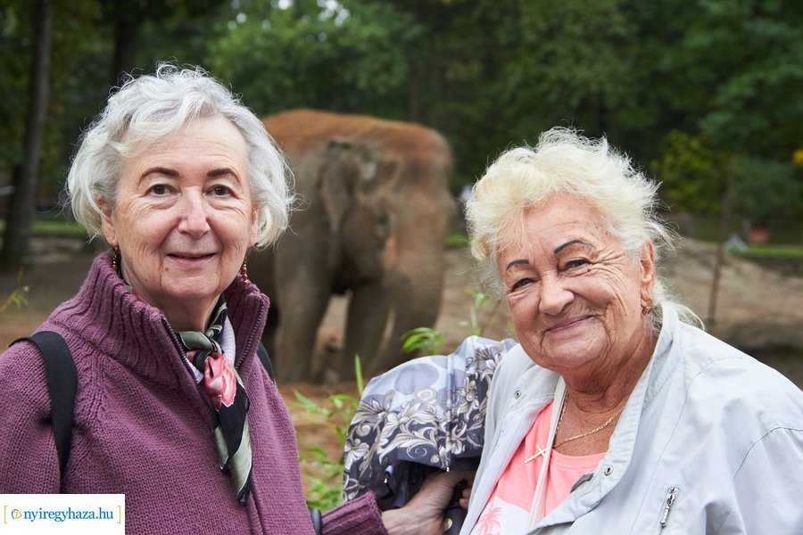 Idősek Napja az Állatparkban 2022