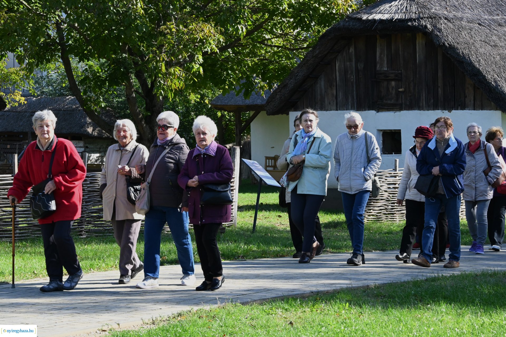 Idősek Világnapja 2024