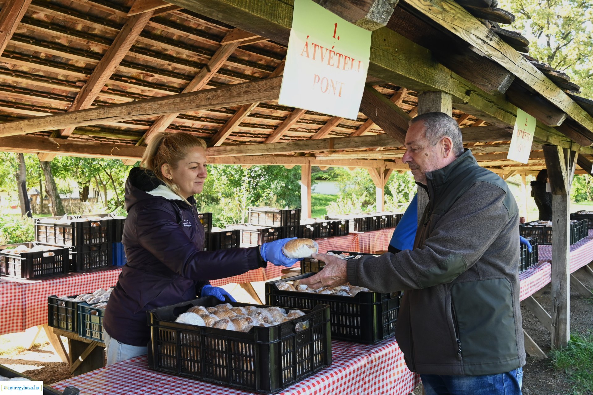 Idősek Világnapja 2024
