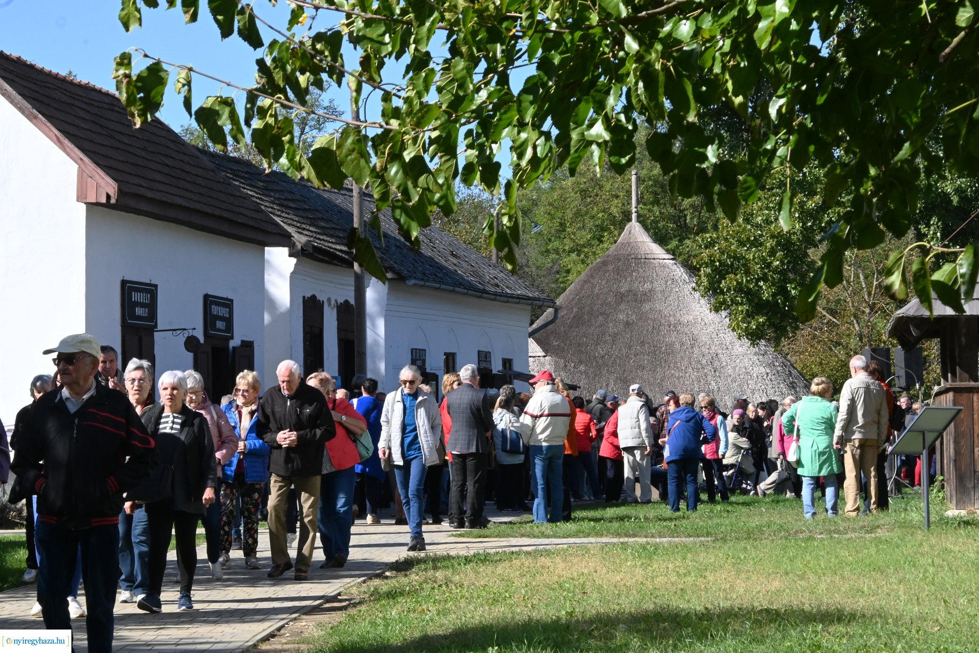 Idősek Világnapja 2024