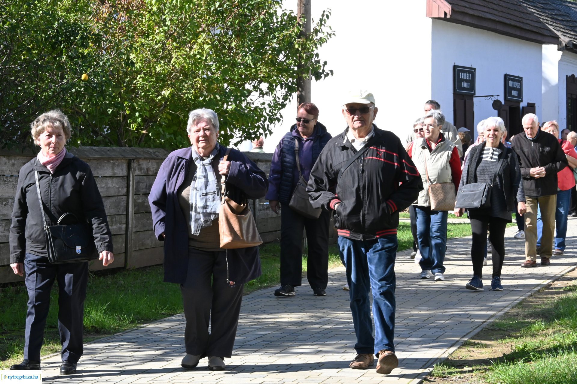 Idősek Világnapja 2024