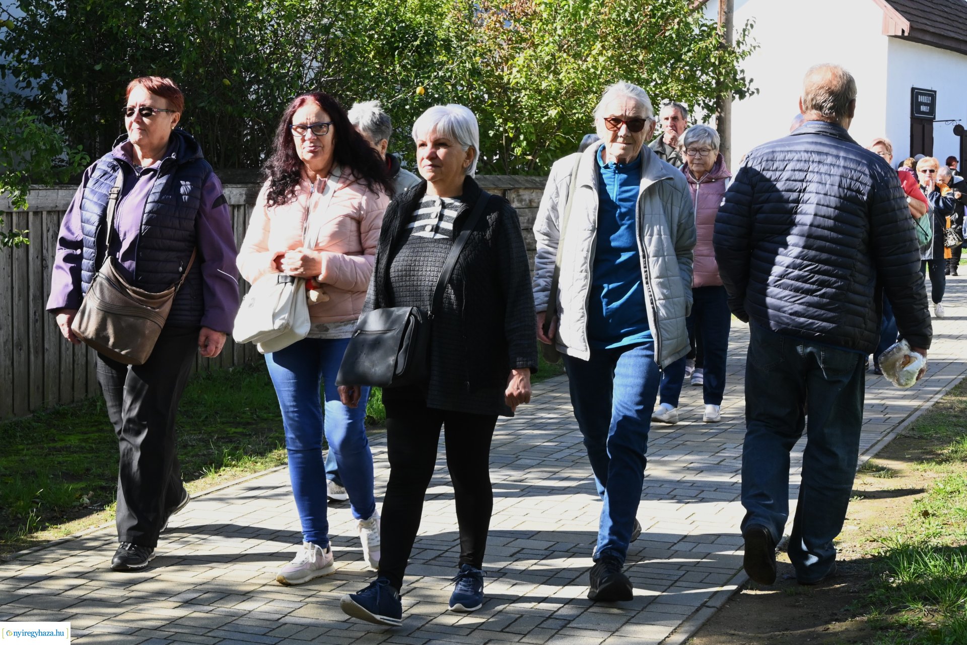 Idősek Világnapja 2024