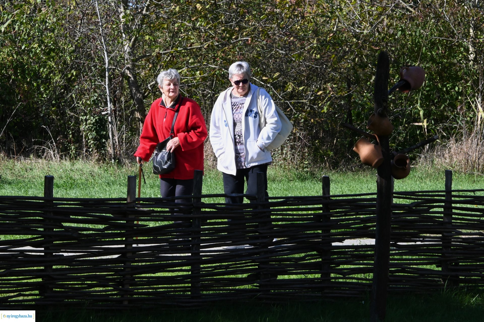 Idősek Világnapja 2024