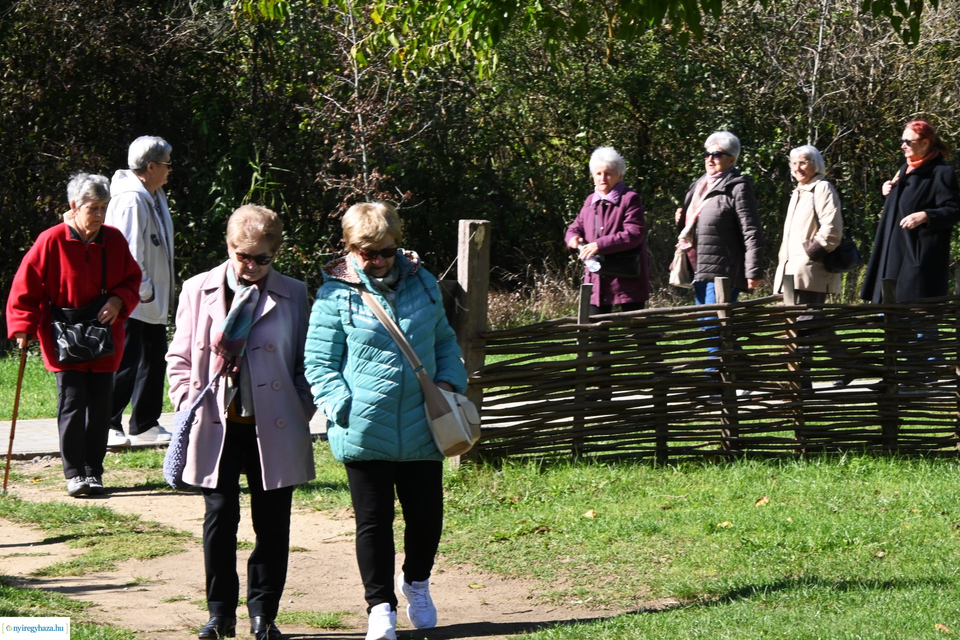 Idősek Világnapja 2024