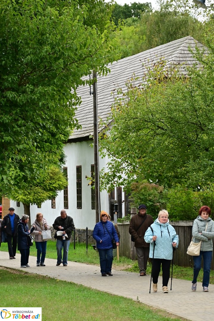 Idősek Világnapja 2025