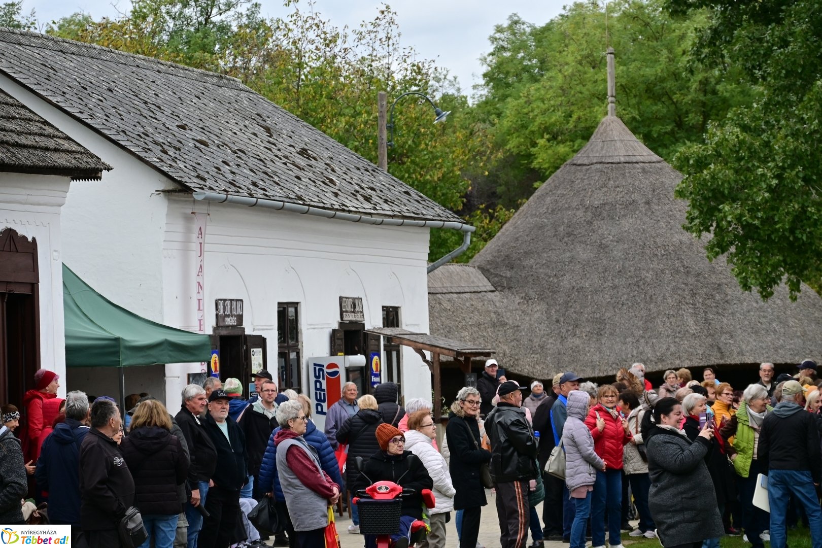 Idősek Világnapja 2025