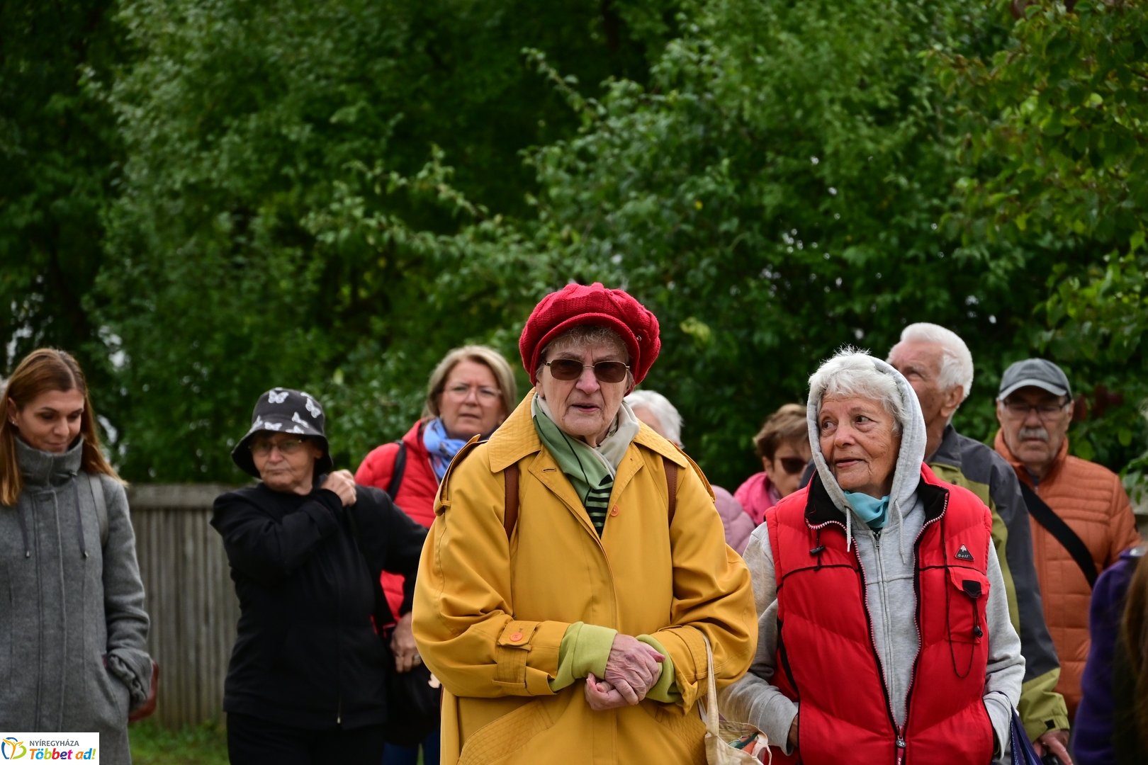 Idősek Világnapja 2025