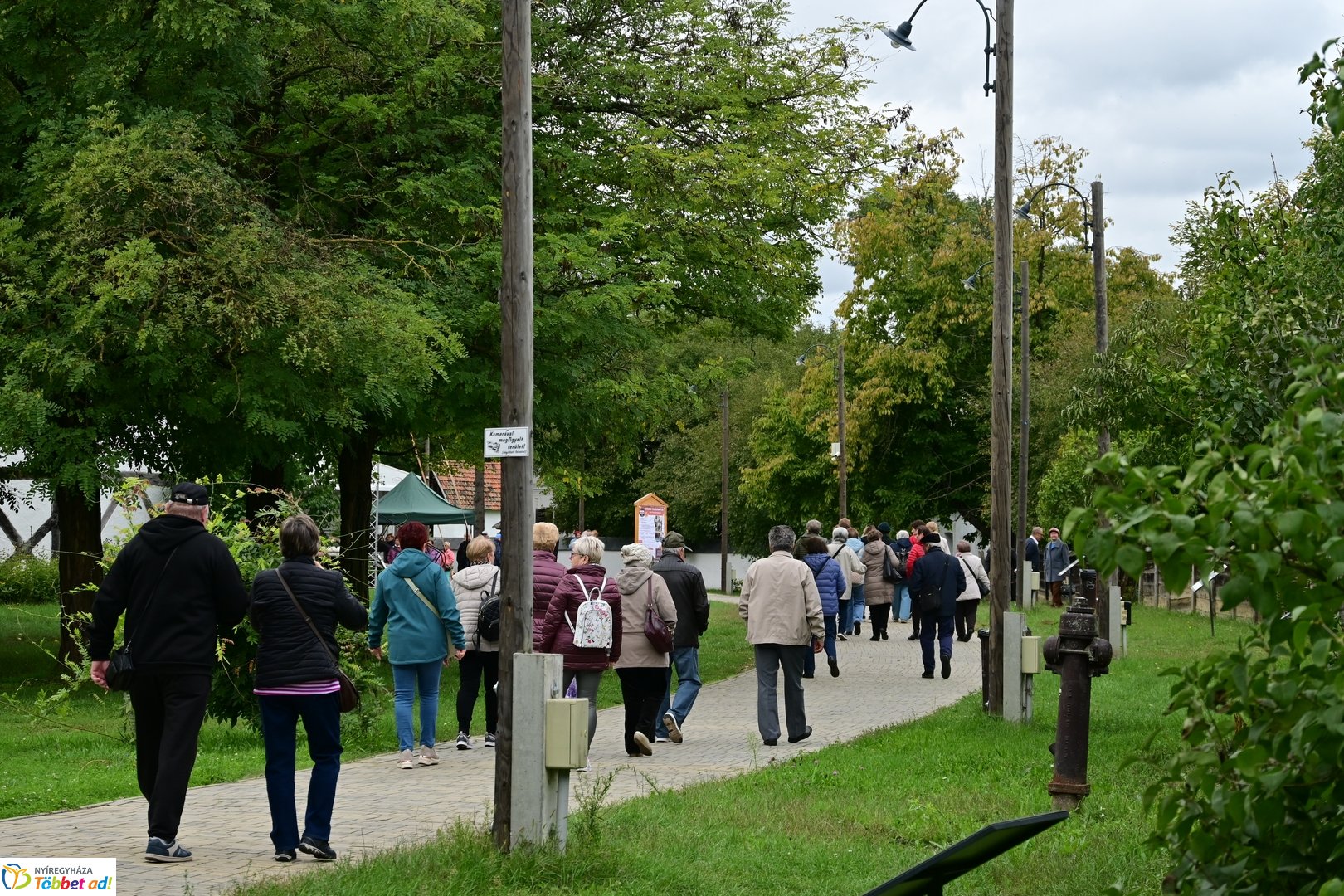 Idősek Világnapja 2025