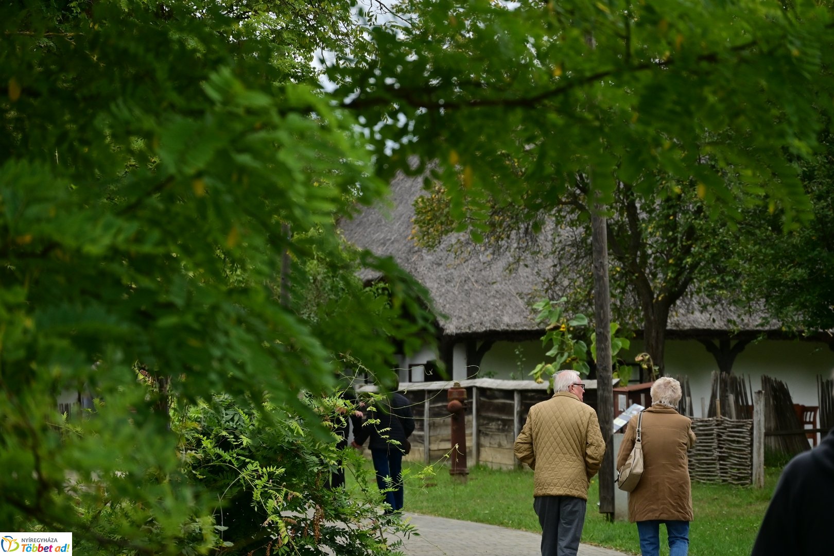 Idősek Világnapja 2025