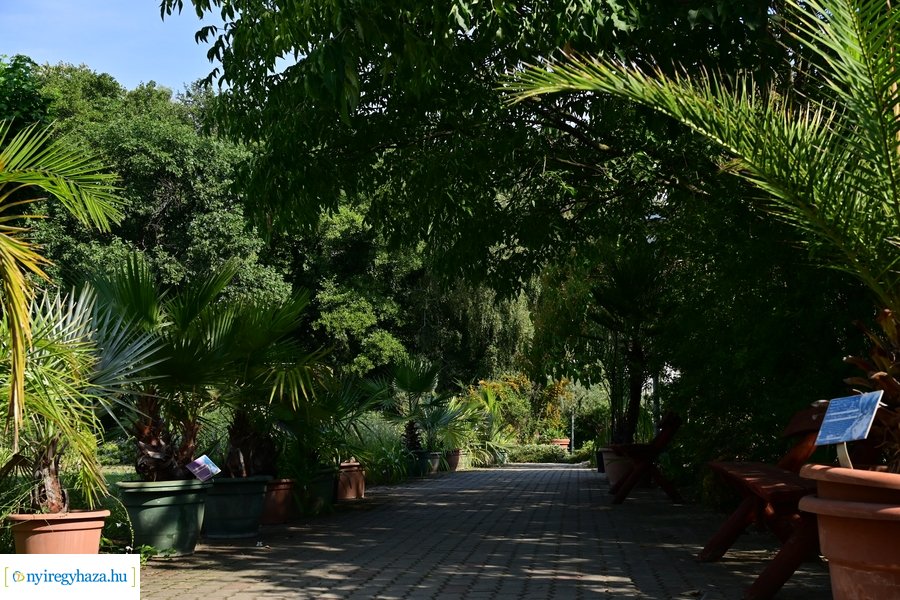 Idősügyi Tanács 20240827