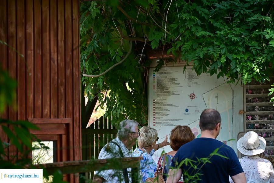 Idősügyi Tanács 20240827