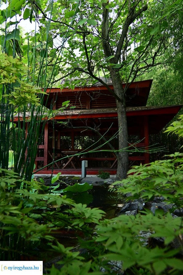 Idősügyi Tanács 20240827